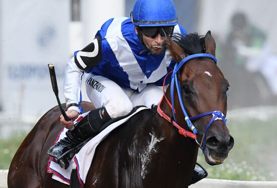 Праздник чистокровного коннозаводства