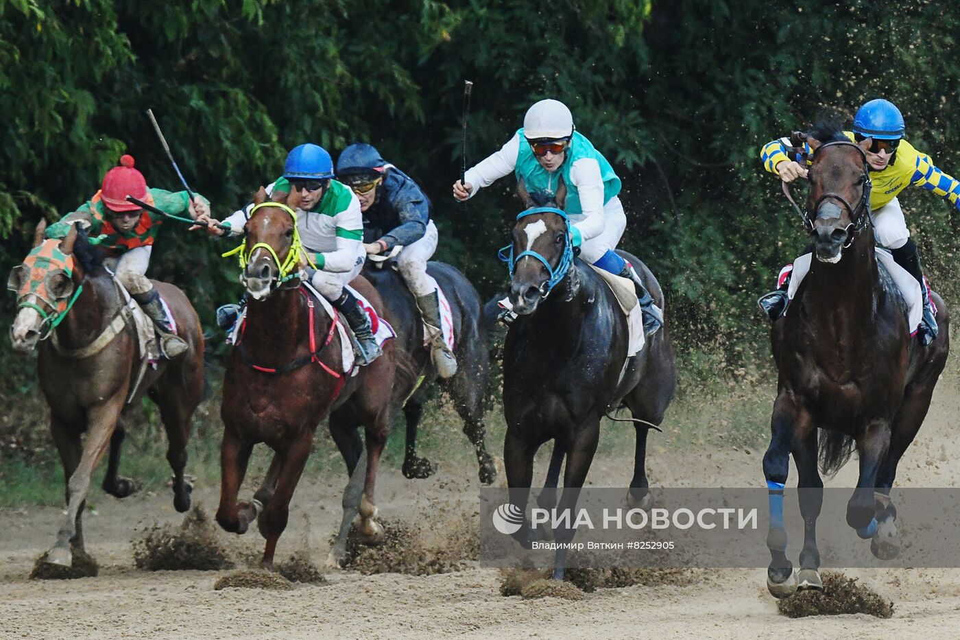Праздник чистокровного коннозаводства