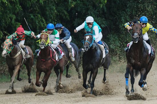 Праздник чистокровного коннозаводства