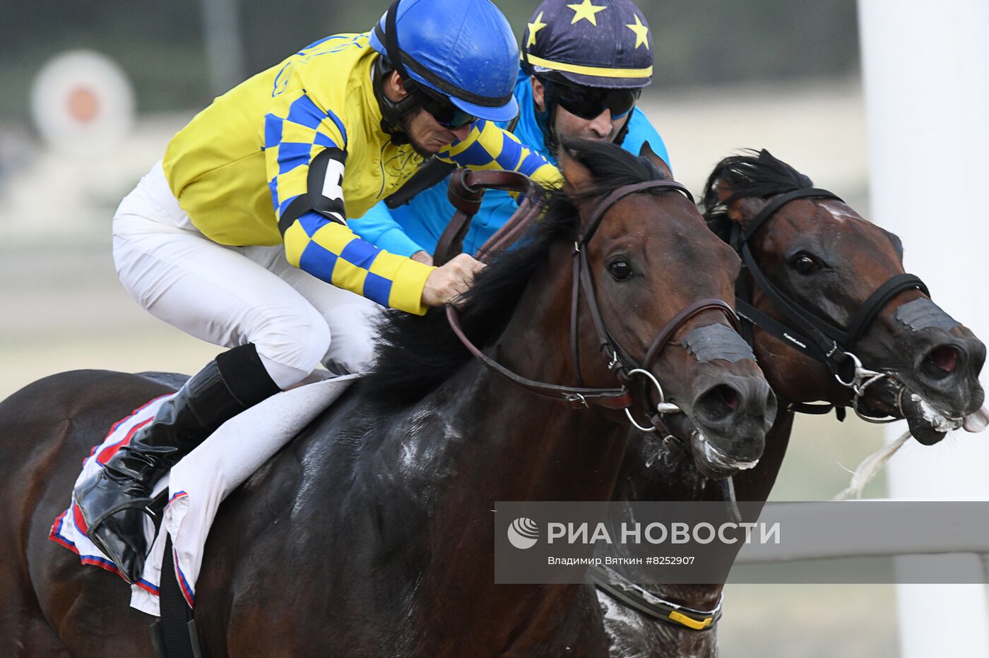 Праздник чистокровного коннозаводства