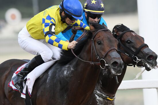 Праздник чистокровного коннозаводства