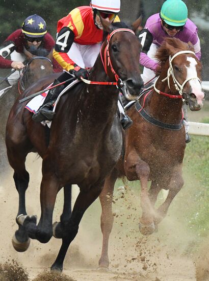 Праздник чистокровного коннозаводства