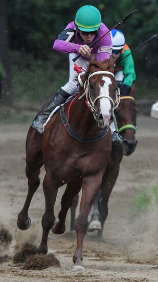 Праздник чистокровного коннозаводства
