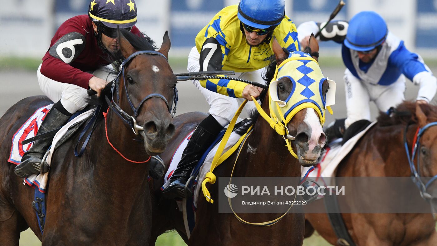 Праздник чистокровного коннозаводства