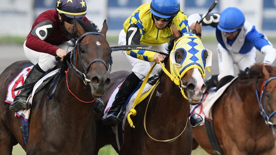 Праздник чистокровного коннозаводства