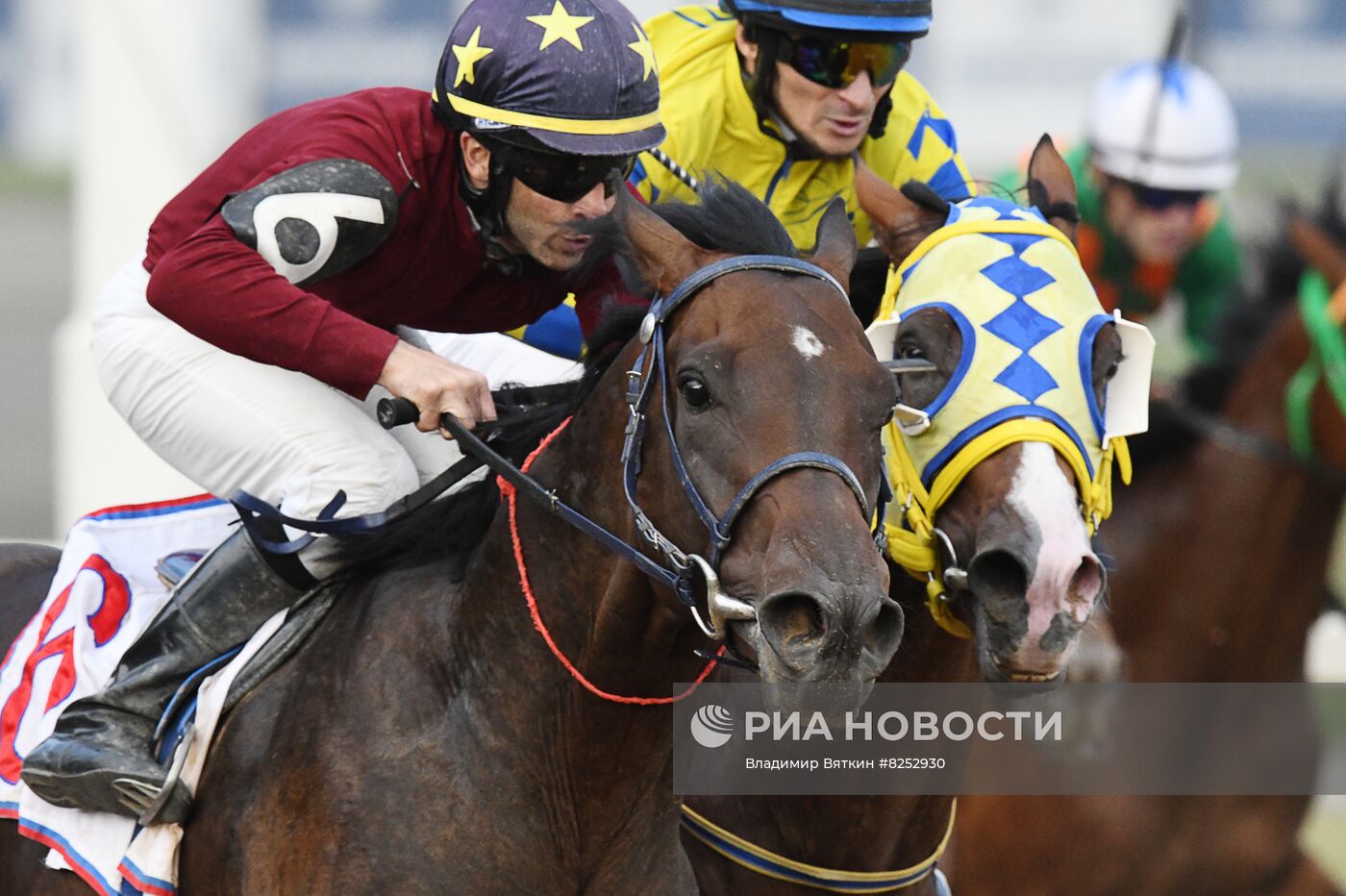 Праздник чистокровного коннозаводства