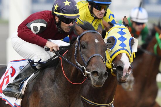 Праздник чистокровного коннозаводства