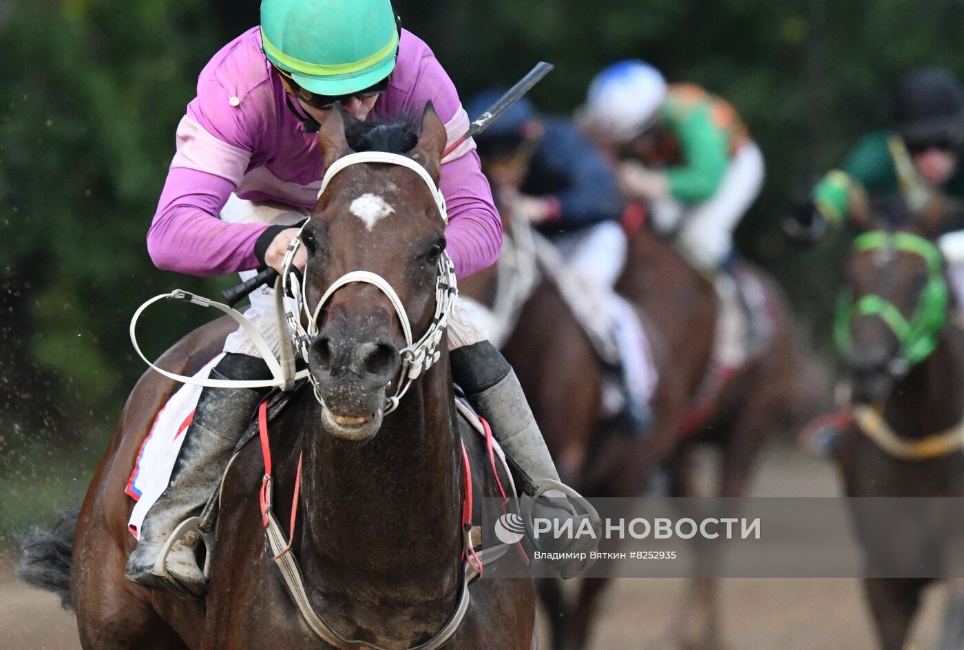 Праздник чистокровного коннозаводства