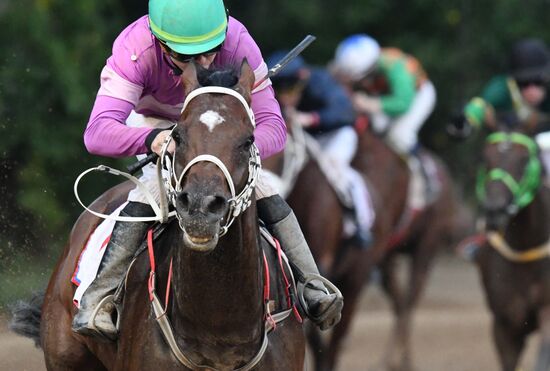 Праздник чистокровного коннозаводства