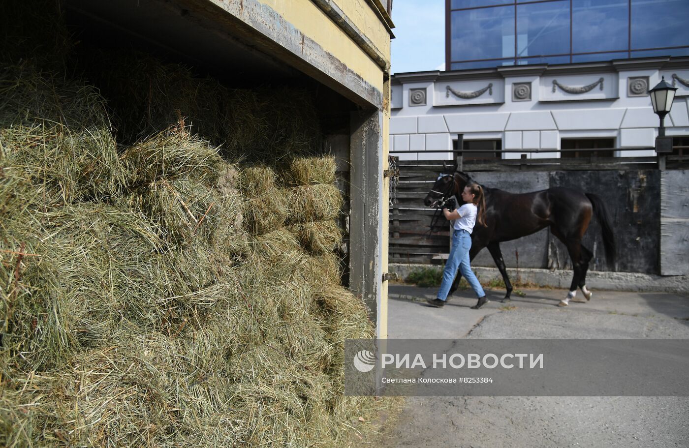 Праздник чистокровного коннозаводства