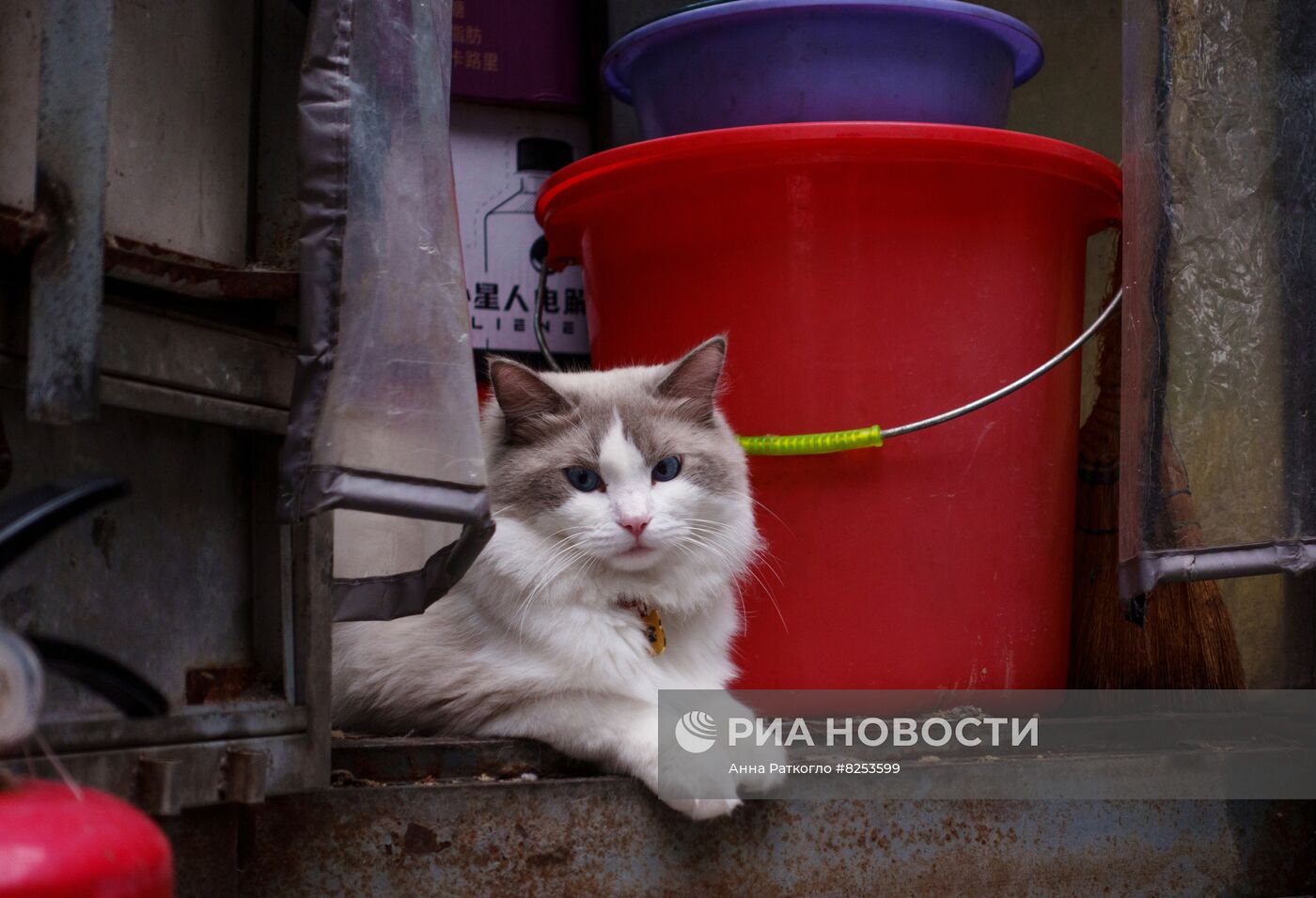 Повседневная жизнь в Пекине