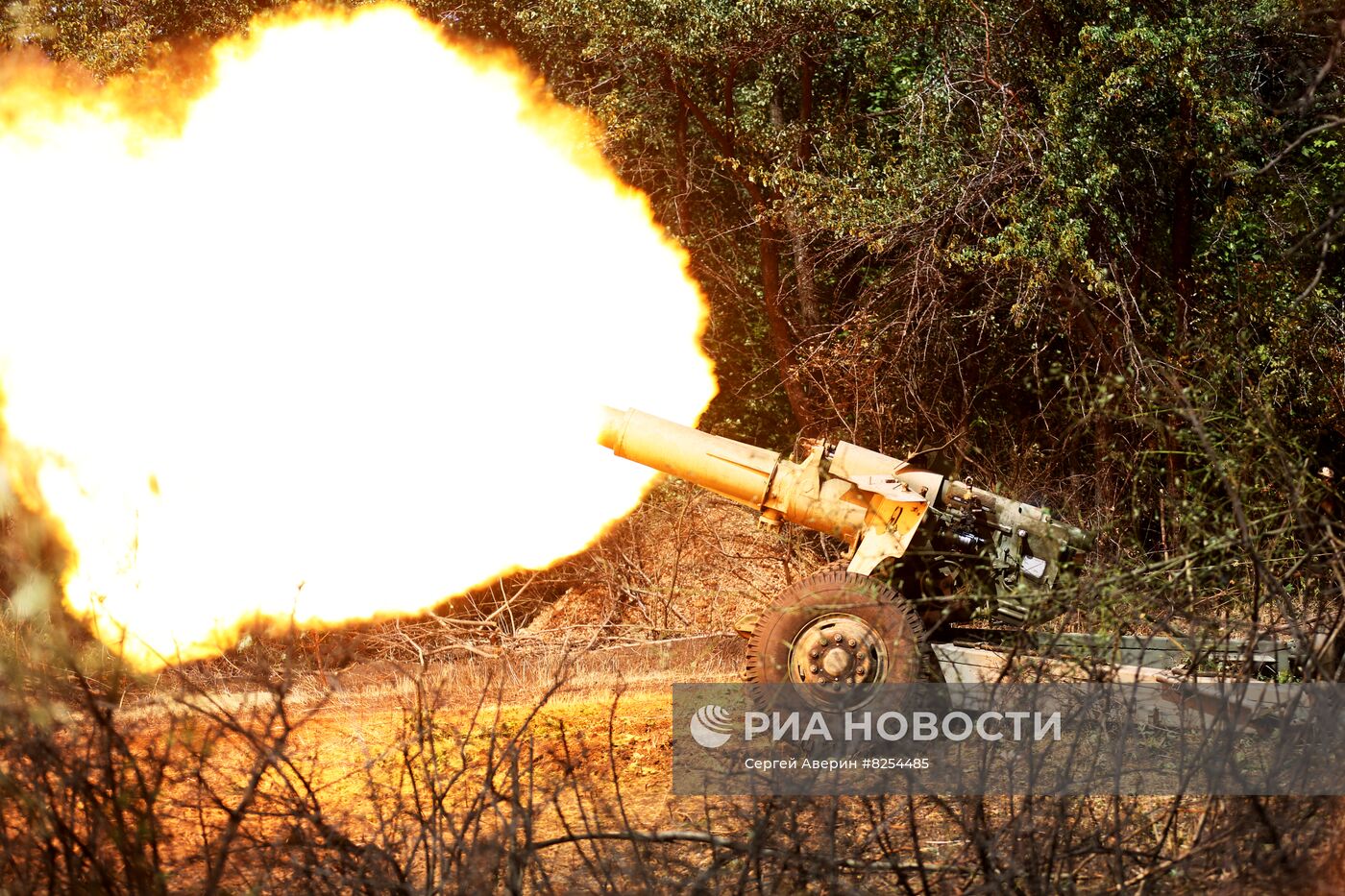 Работа артиллерии НМ ДНР на Авдеевском направлении