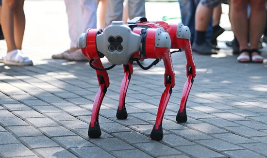 Собака-робот в Московском зоопарке 