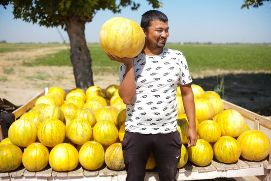 Повседневная жизнь в Узбекистане