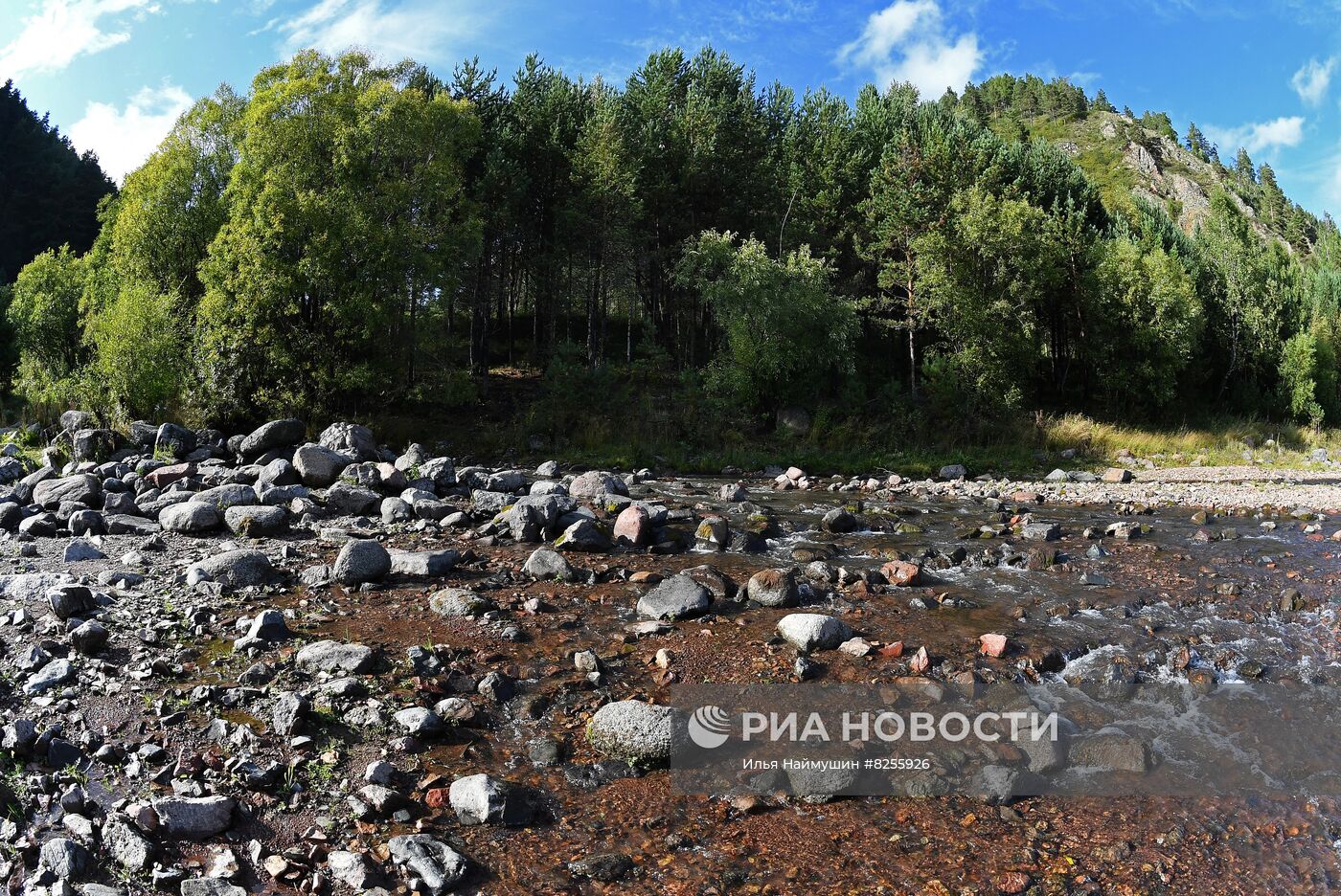 Лето в сибирской тайге