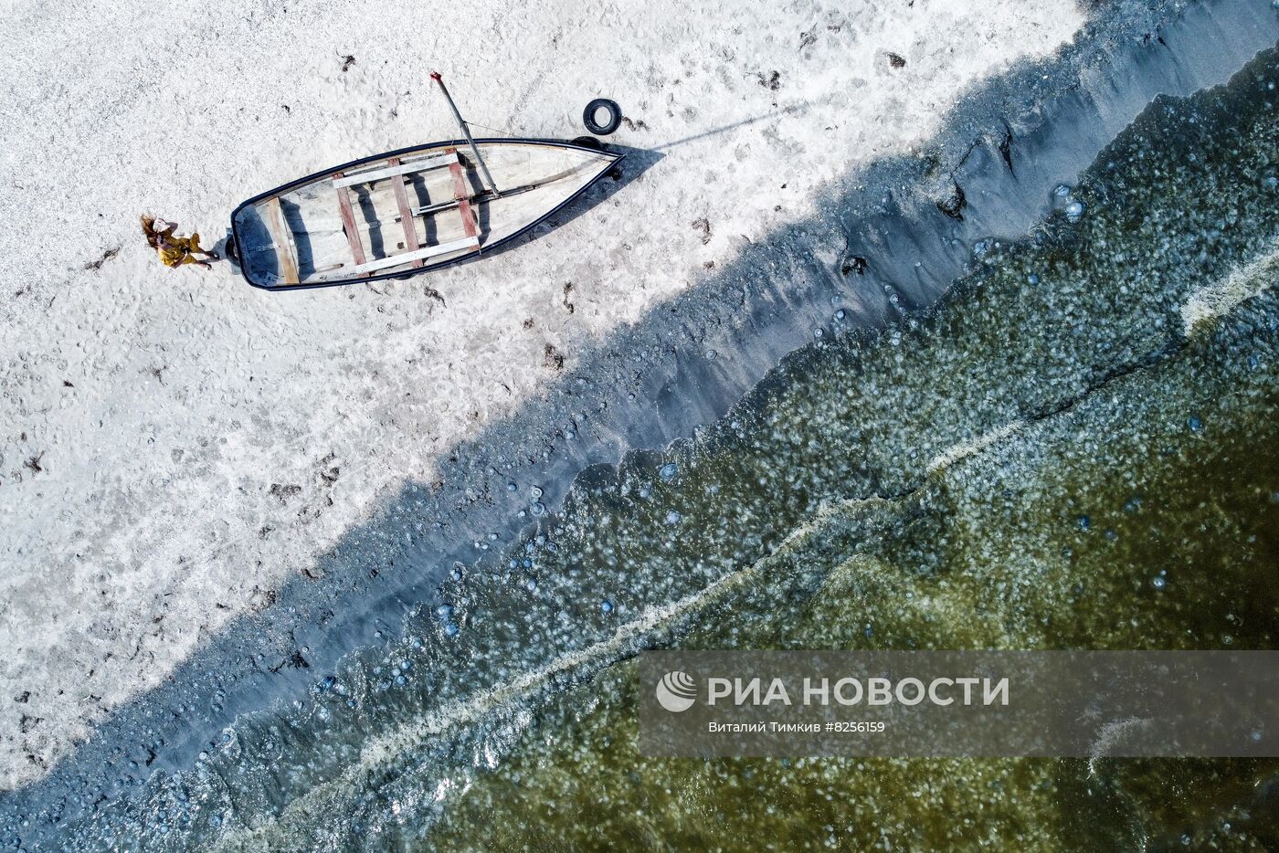 Нашествие медуз на пляжах Азовского моря