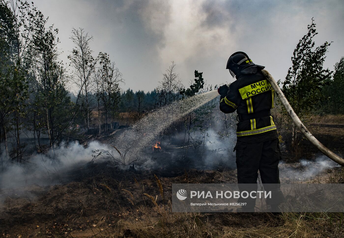 Пожары в Рязанской области 