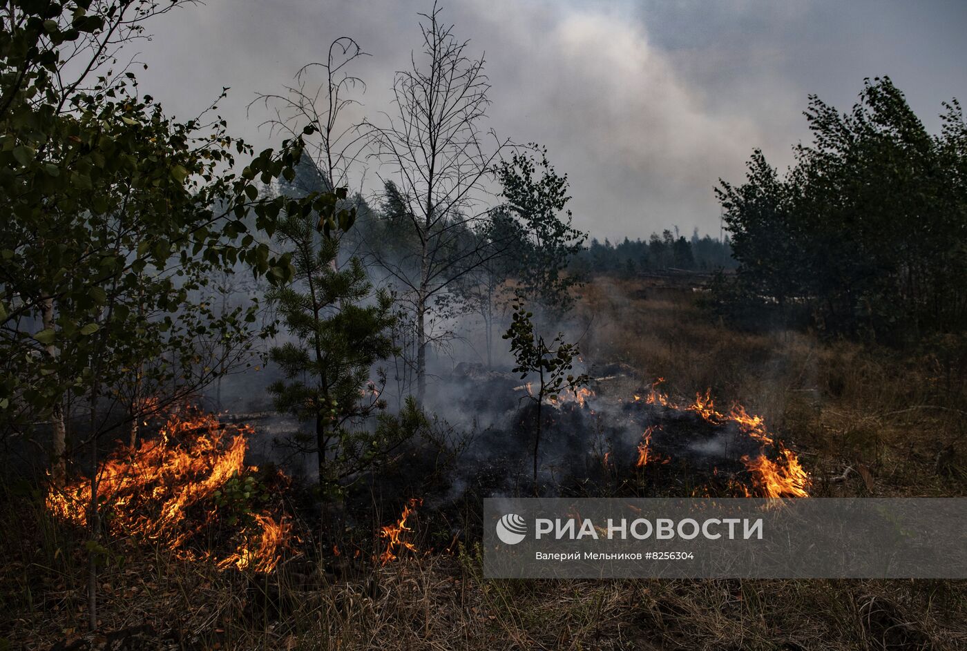 Пожары в Рязанской области