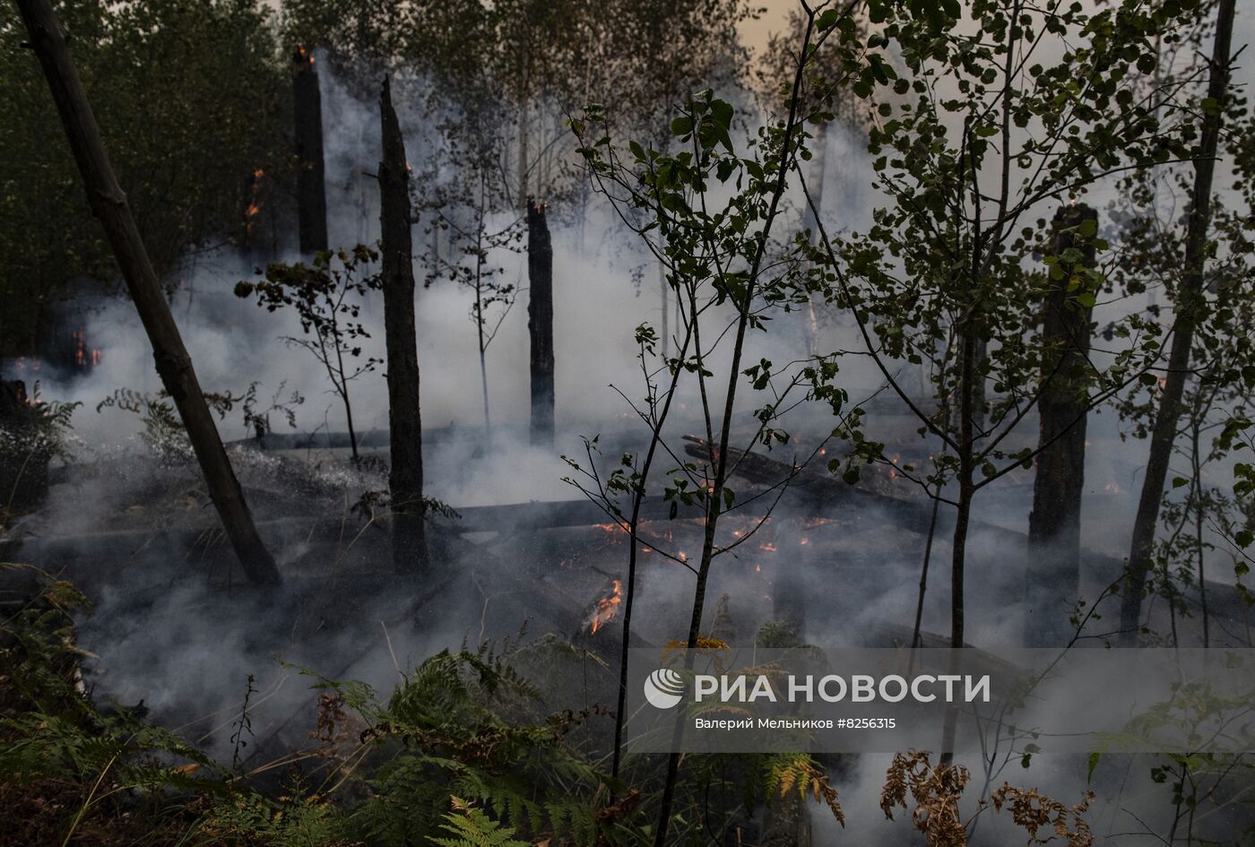 Пожары в Рязанской области