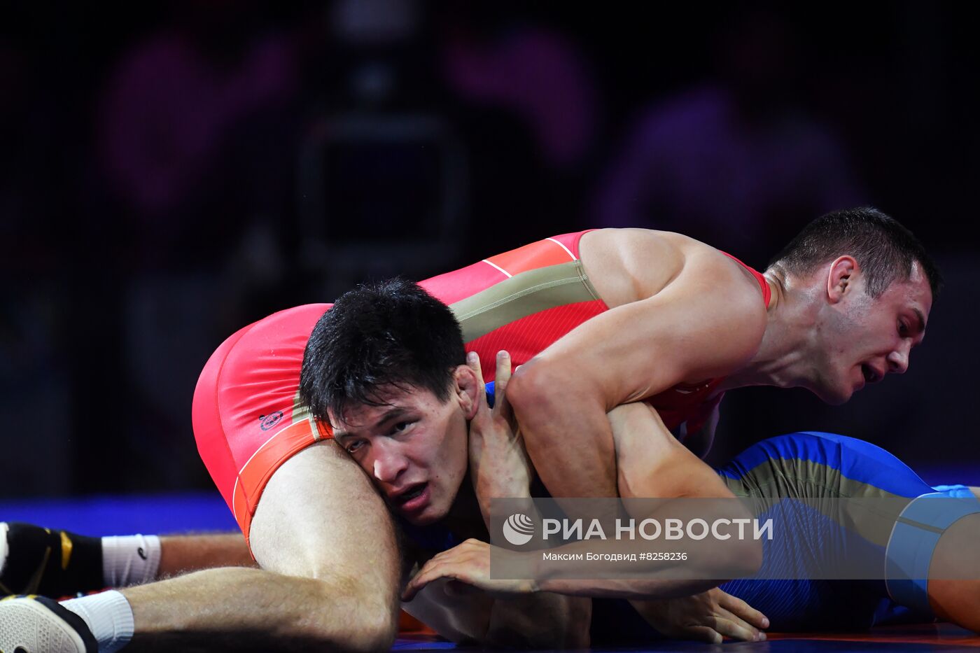 Спартакиада. Греко-римская борьба