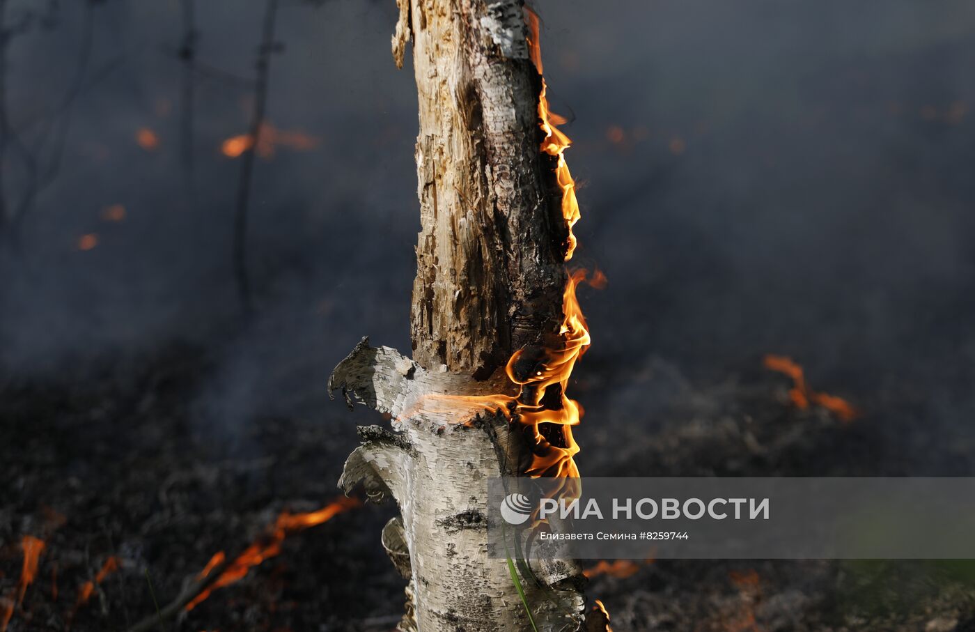 Борьба с лесными пожарами в Нижегородской области