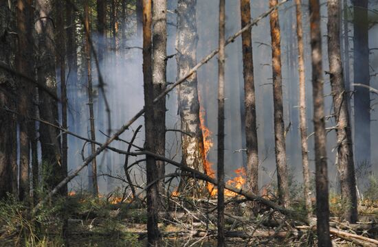 Борьба с лесными пожарами в Нижегородской области