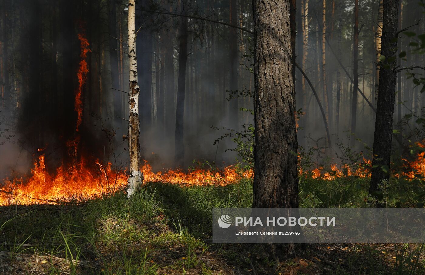 Борьба с лесными пожарами в Нижегородской области