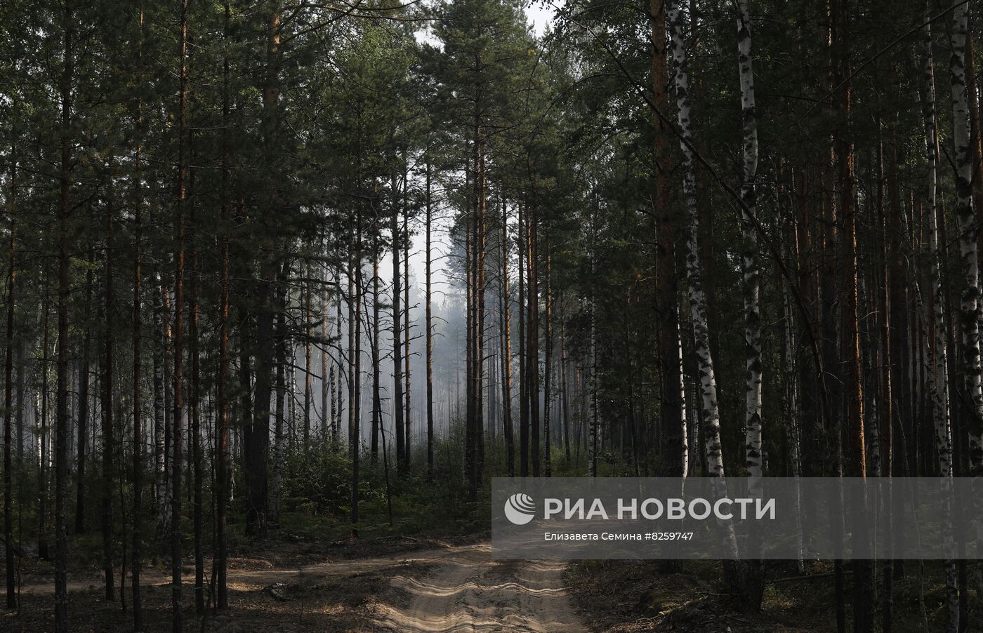 Борьба с лесными пожарами в Нижегородской области