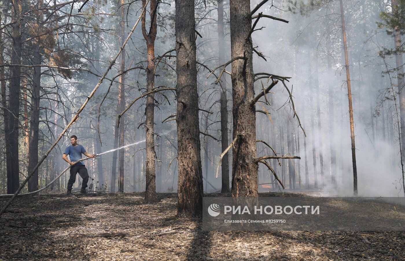 Борьба с лесными пожарами в Нижегородской области