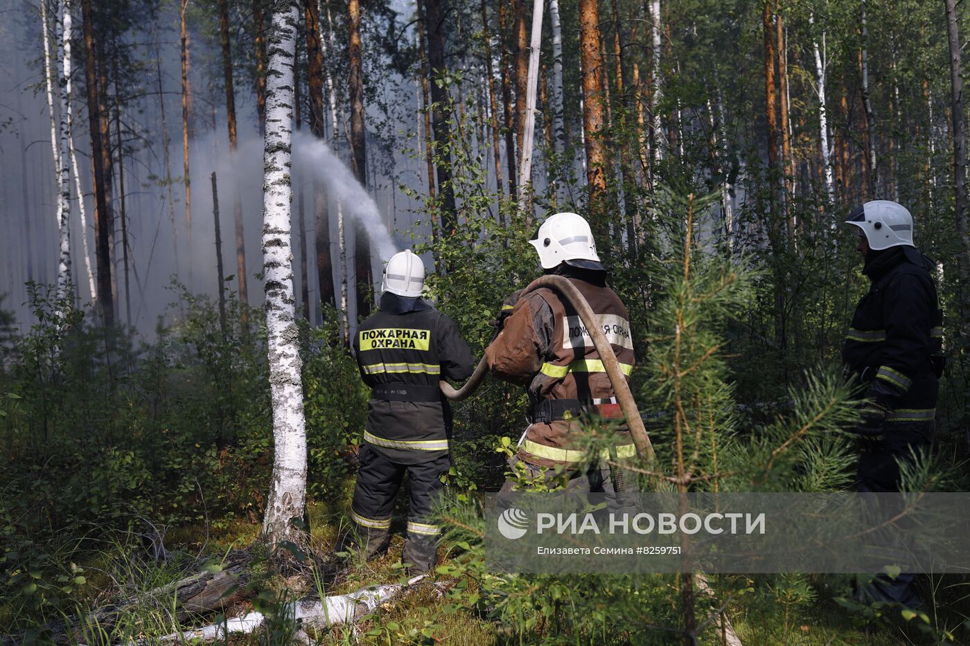 Борьба с лесными пожарами в Нижегородской области