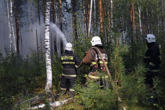 Борьба с лесными пожарами в Нижегородской области