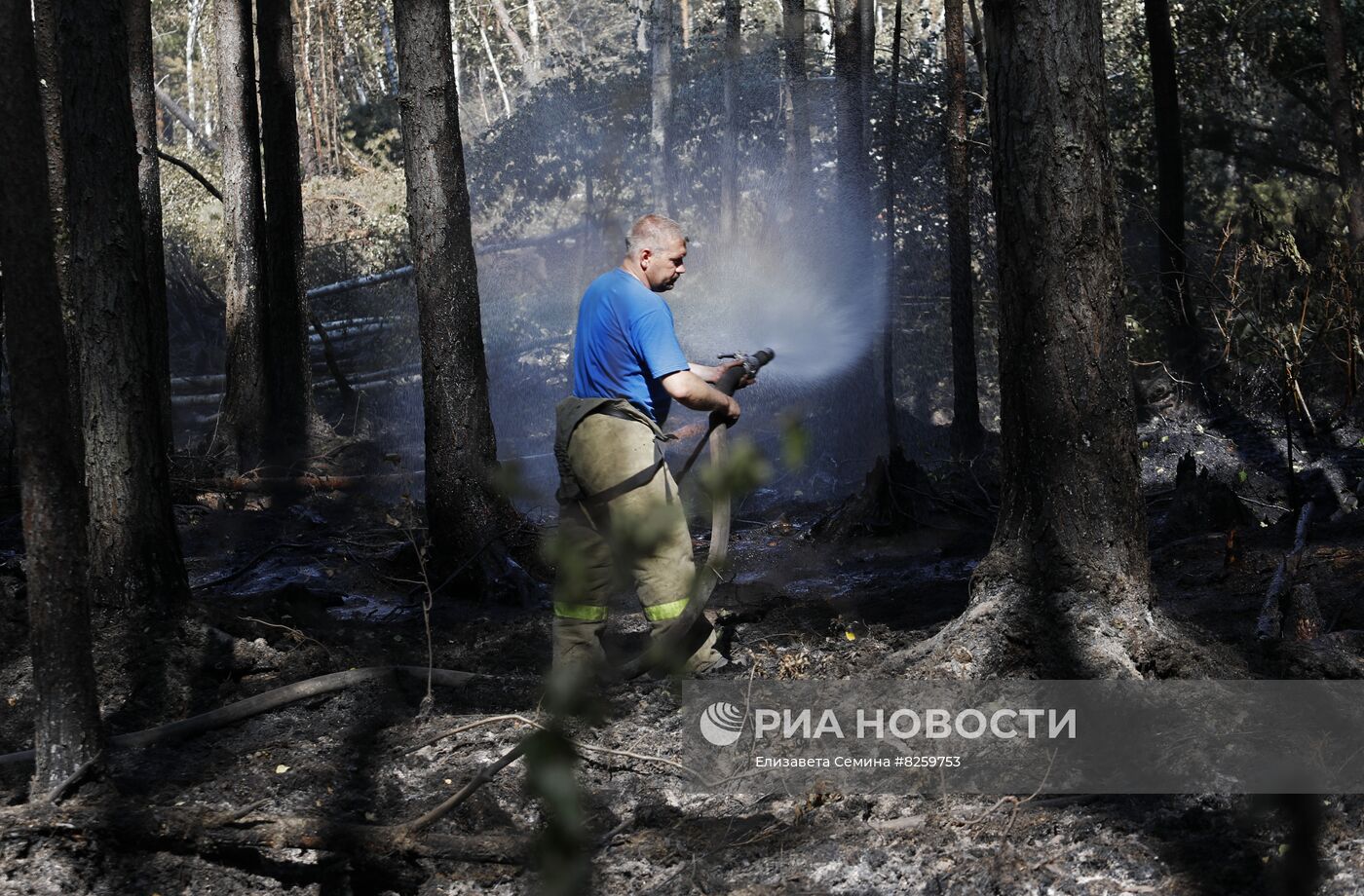 Борьба с лесными пожарами в Нижегородской области