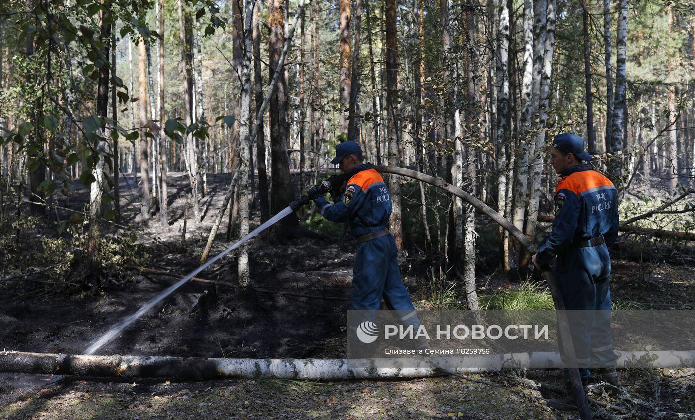 Борьба с лесными пожарами в Нижегородской области