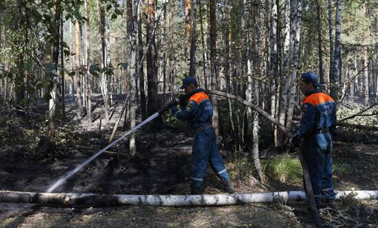 Борьба с лесными пожарами в Нижегородской области