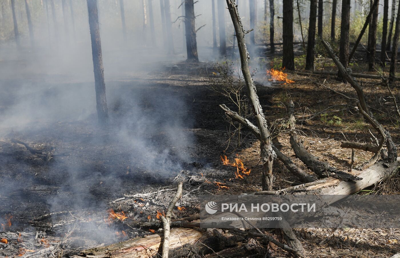 Борьба с лесными пожарами в Нижегородской области