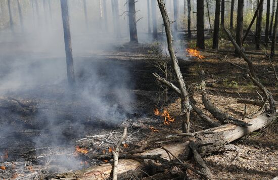 Борьба с лесными пожарами в Нижегородской области