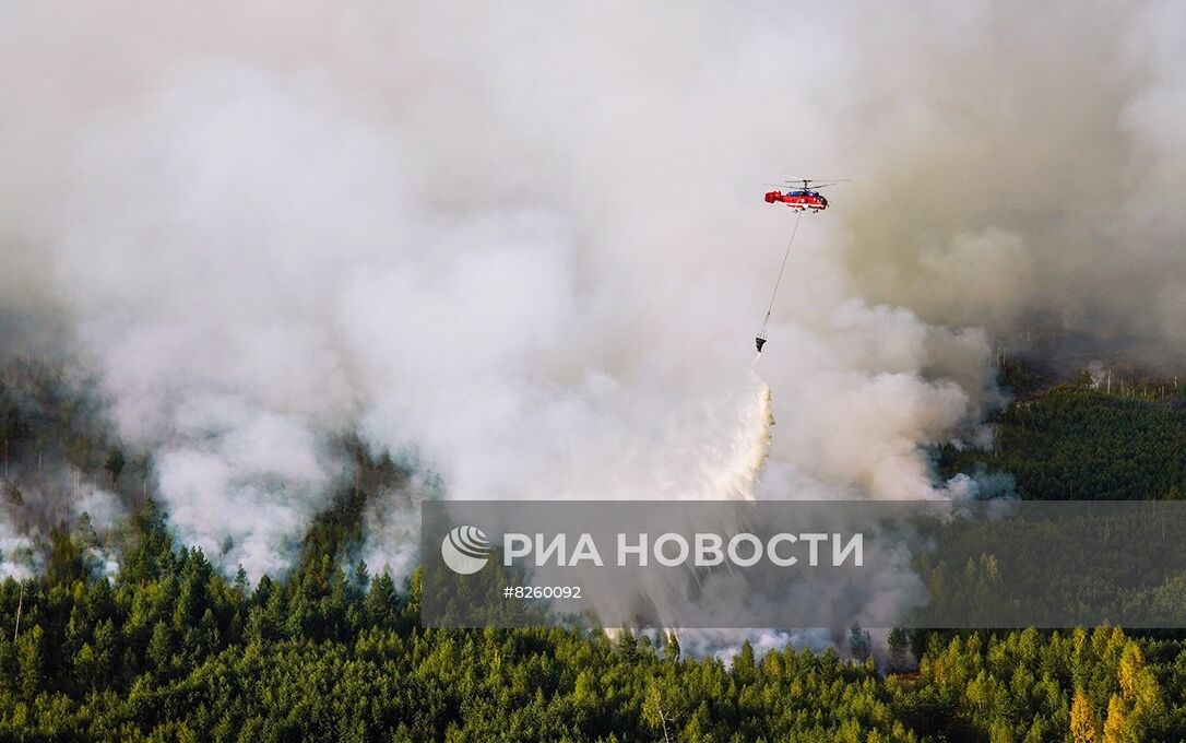 Вице-премьер Д. Григоренко, глава МЧС А. Куренков и мэр Москвы С. Собянин посетили регионы, страдающие от пожаров