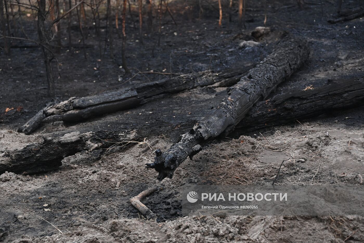 Тушение пожаров в Рязанской области