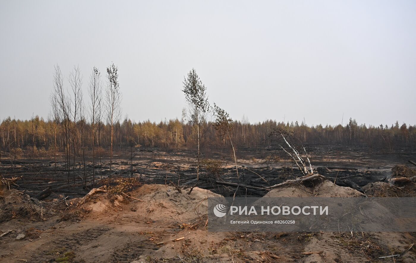 Тушение пожаров в Рязанской области