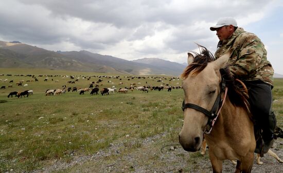 Стойбища кочевников в Киргизии
