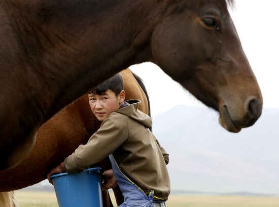 Стойбища кочевников в Киргизии
