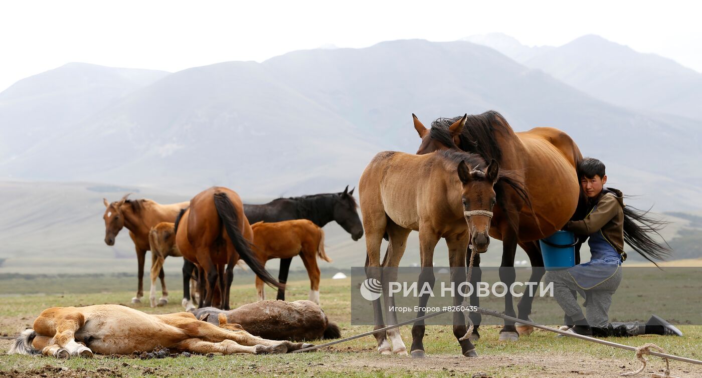 Стойбища кочевников в Киргизии