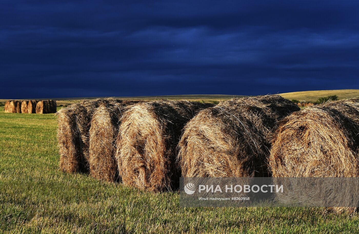 Регионы России. Республика Хакасия