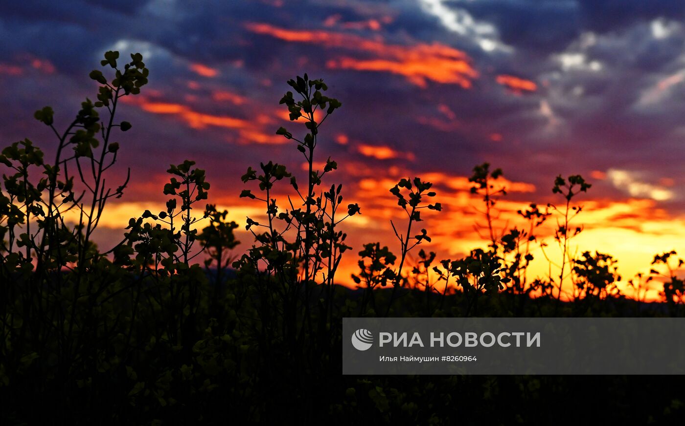 Регионы России. Республика Хакасия