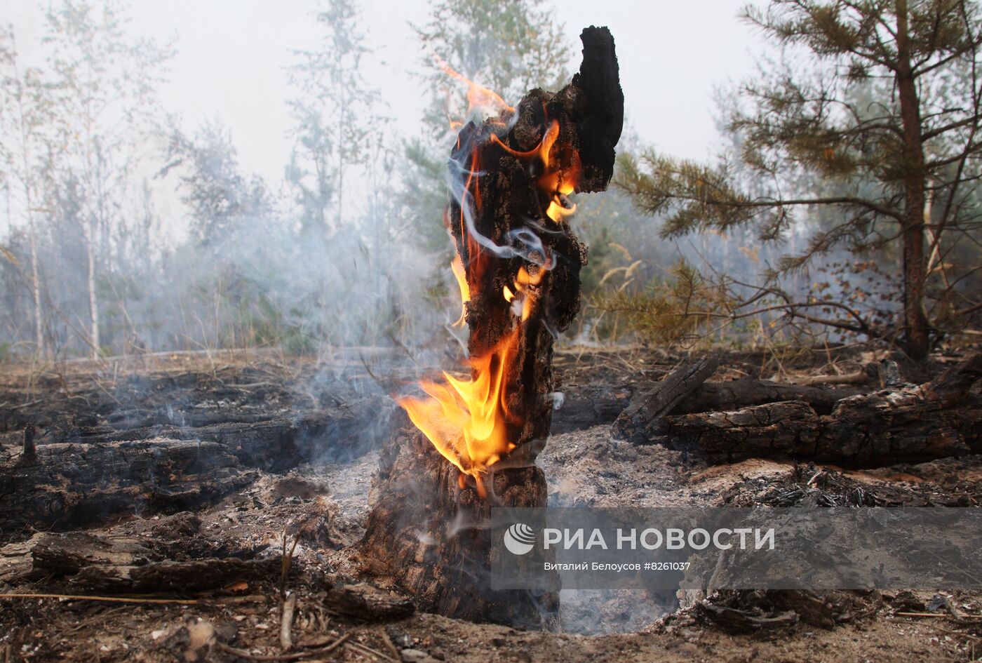 Тушение пожаров в Рязанской области 