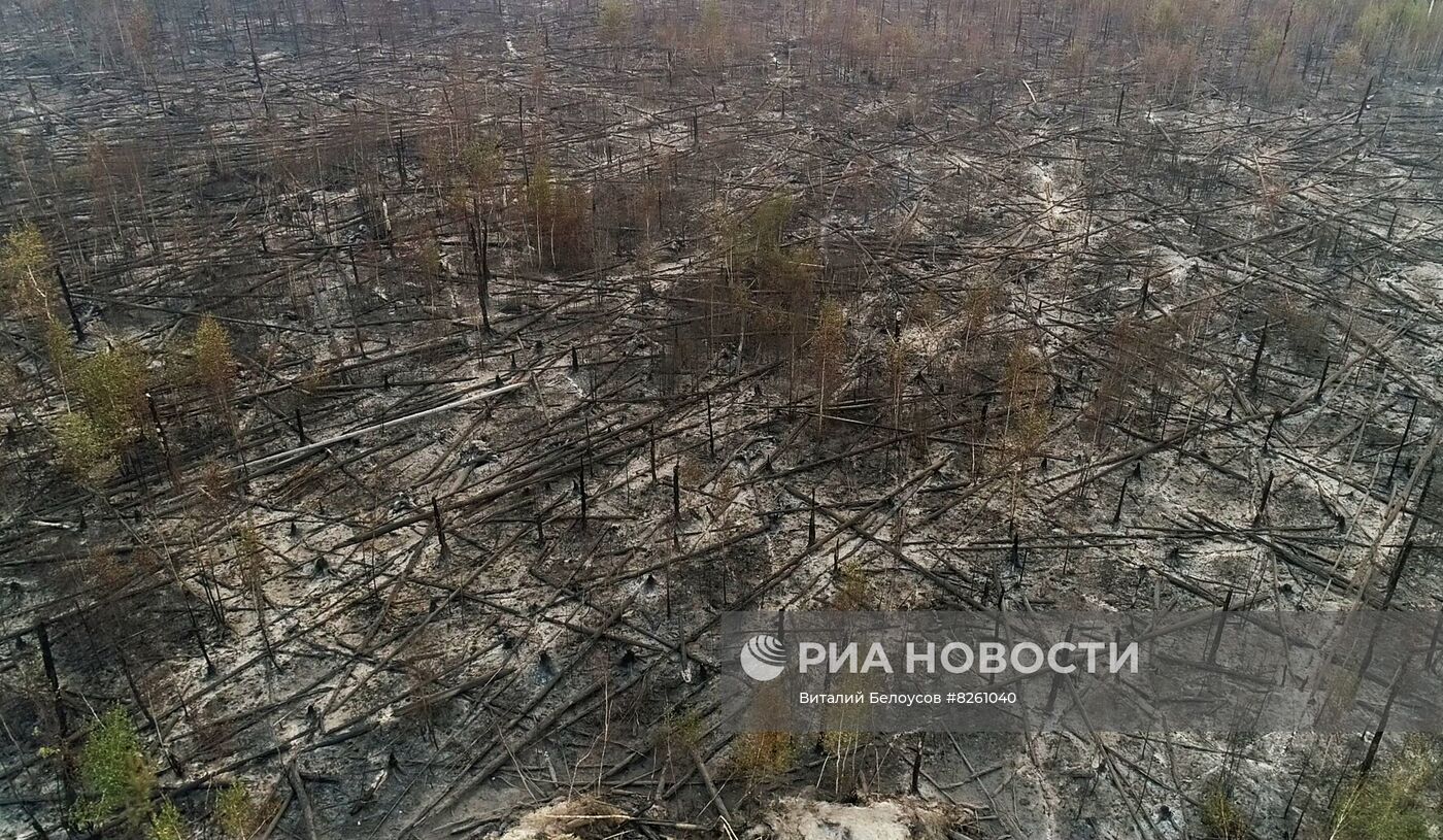 Тушение пожаров в Рязанской области