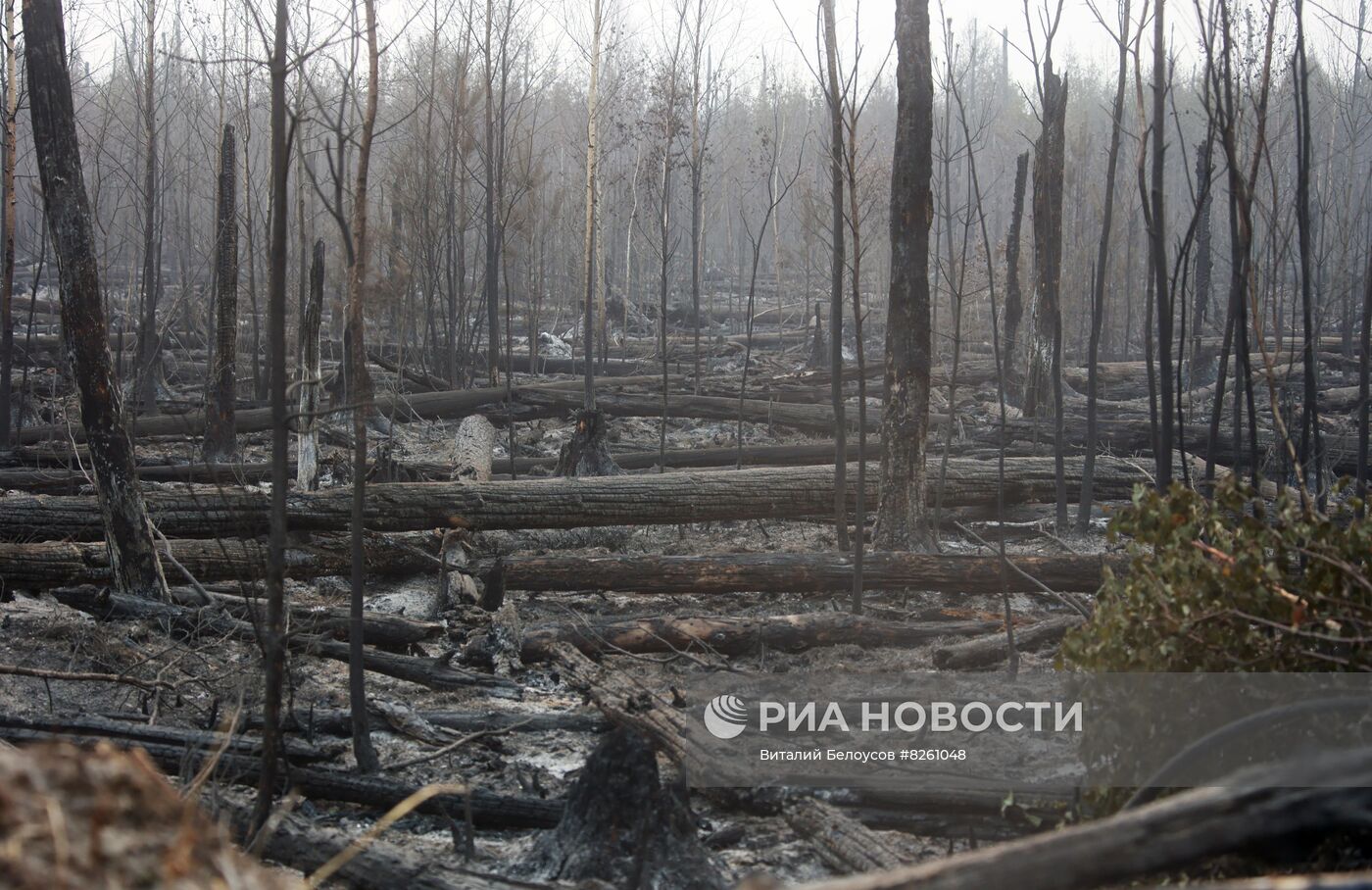 Тушение пожаров в Рязанской области