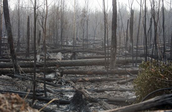 Тушение пожаров в Рязанской области 