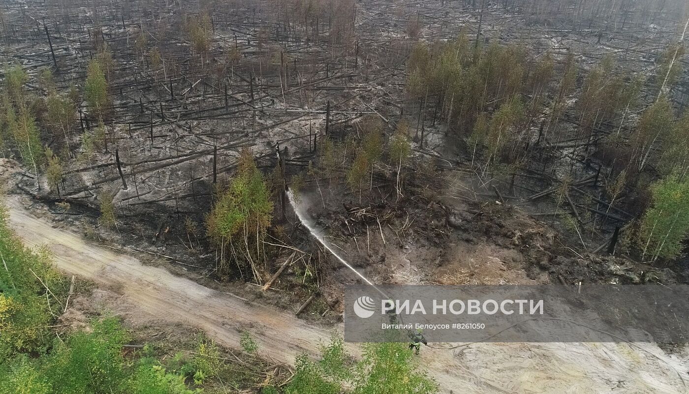 Тушение пожаров в Рязанской области 