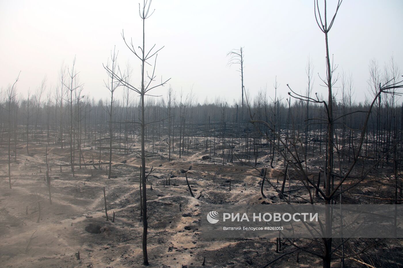 Тушение пожаров в Рязанской области